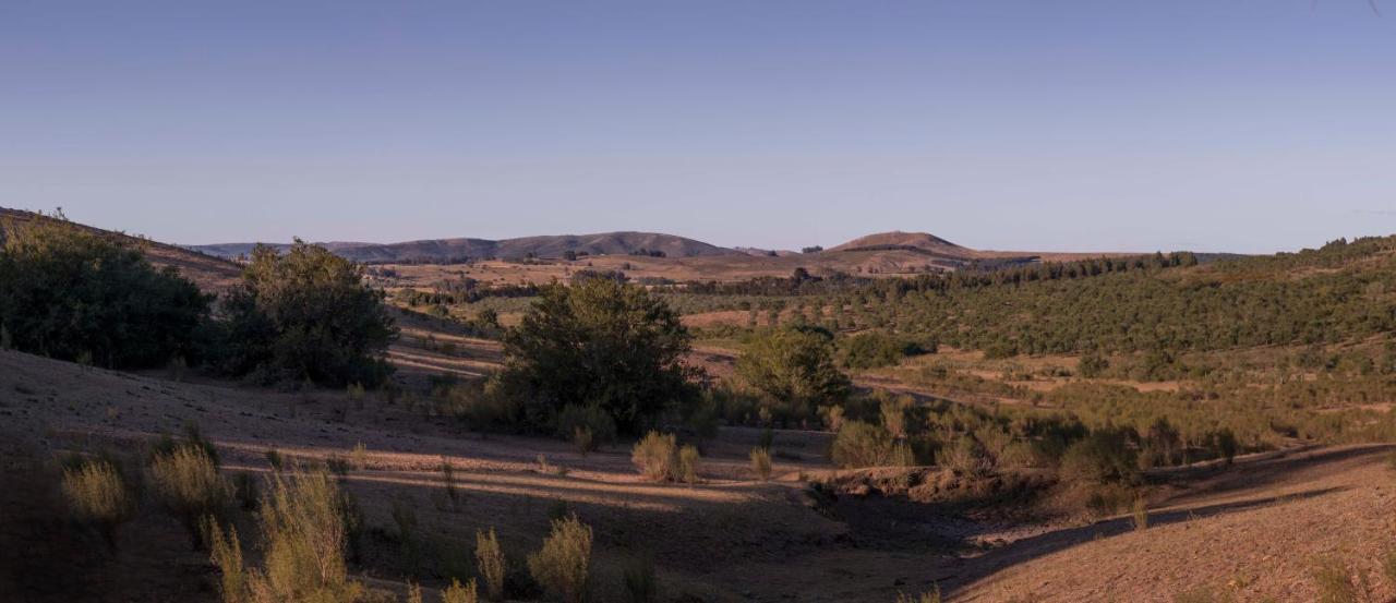 Posada La Serena Minas Εξωτερικό φωτογραφία