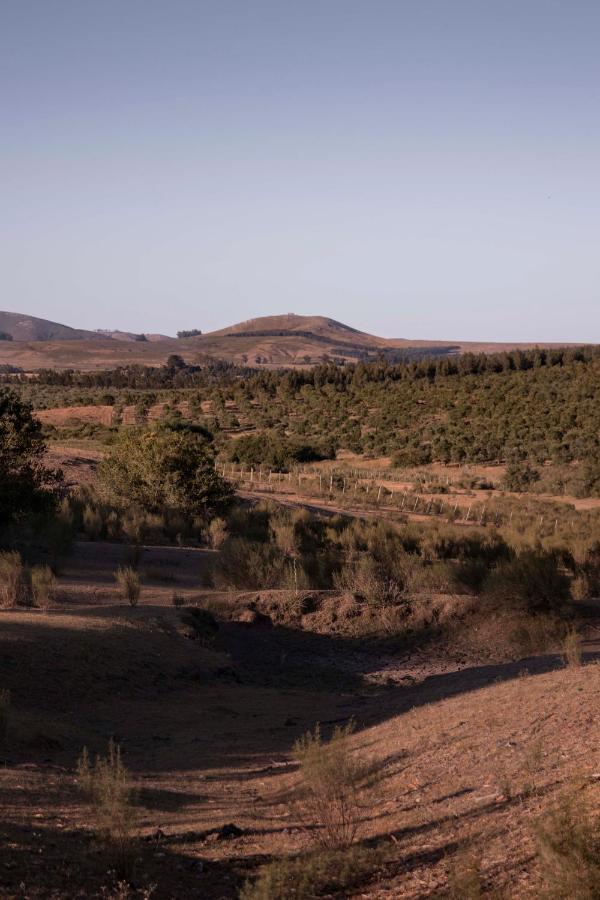 Posada La Serena Minas Εξωτερικό φωτογραφία